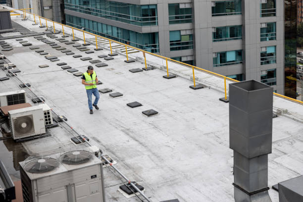 Best Roof Maintenance and Cleaning  in Vale, OR